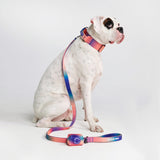 Taktisches Hundehalsband - und Leinen-Set - Kaleidoskop