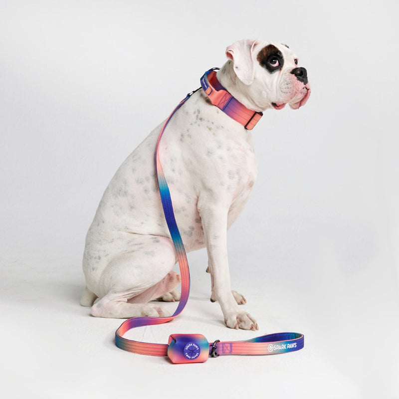Taktisches Hundehalsband - und Leinen-Set - Kaleidoskop