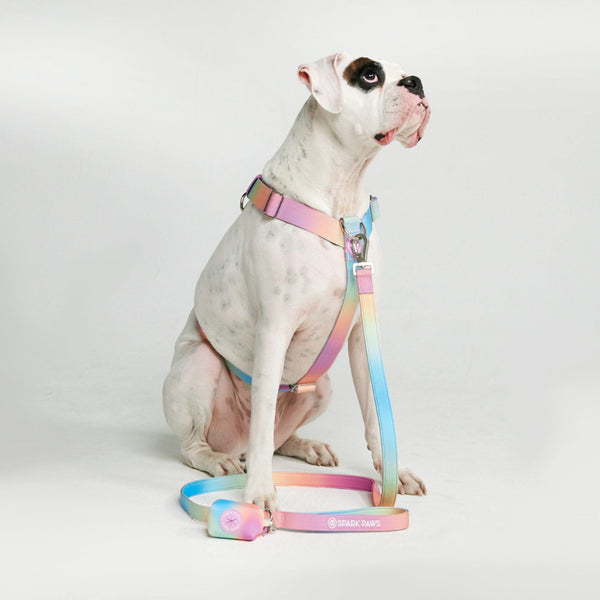 Komfort-Kontrolle No-Pull Hundegeschirr set - Pastellglasur