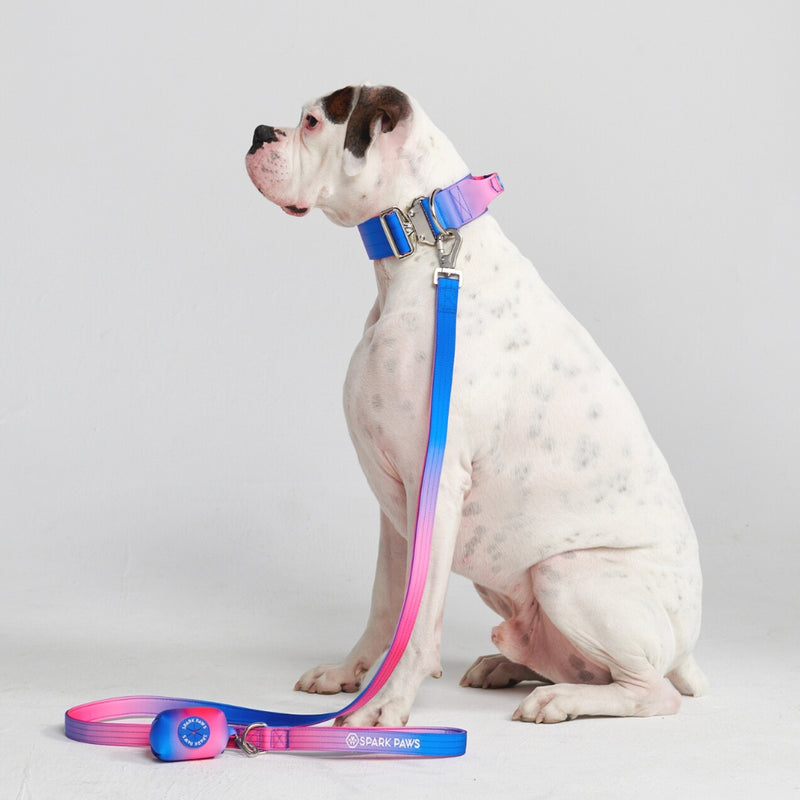 Taktisches Hundehalsband - und Leinen-Set - Rosa-Blau