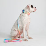 Taktisches Hundehalsband - und Leinen-Set - Pastellglasur