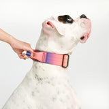 Taktisches Halsband für große Hunde - Kaleidoskop