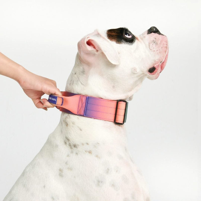 Taktisches Halsband für große Hunde - Kaleidoskop