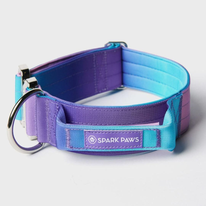 Taktisches Halsband für große Hunde - 90s Retro