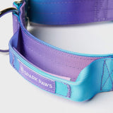 Taktisches Halsband für große Hunde - 90s Retro