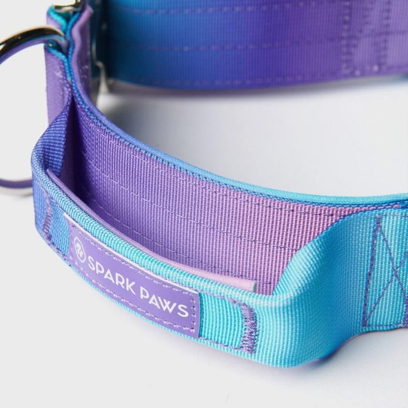 Taktisches Halsband für große Hunde - 90s Retro