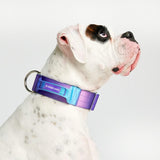 Taktisches Halsband für große Hunde - 90s Retro