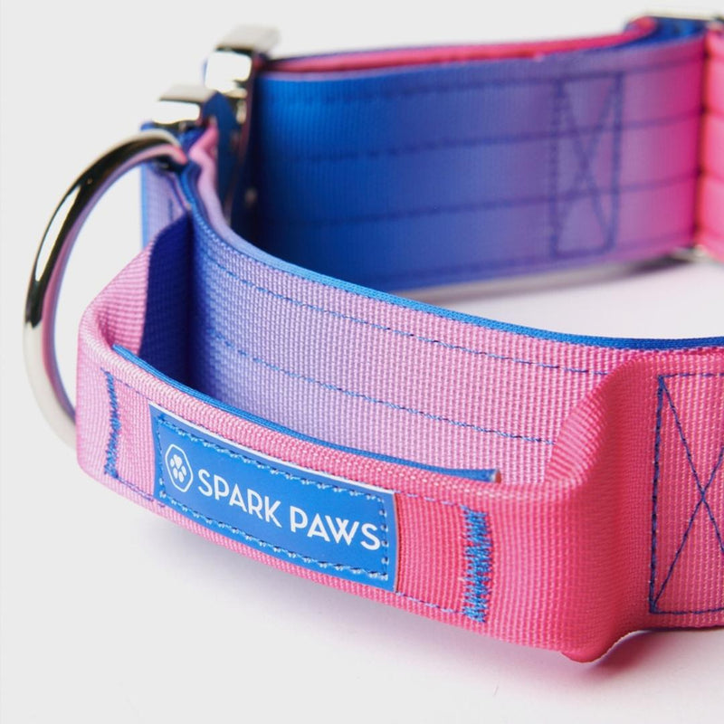 Taktisches Halsband für große Hunde - Rosa-Blau