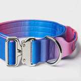Taktisches Halsband für große Hunde - Rosa-Blau