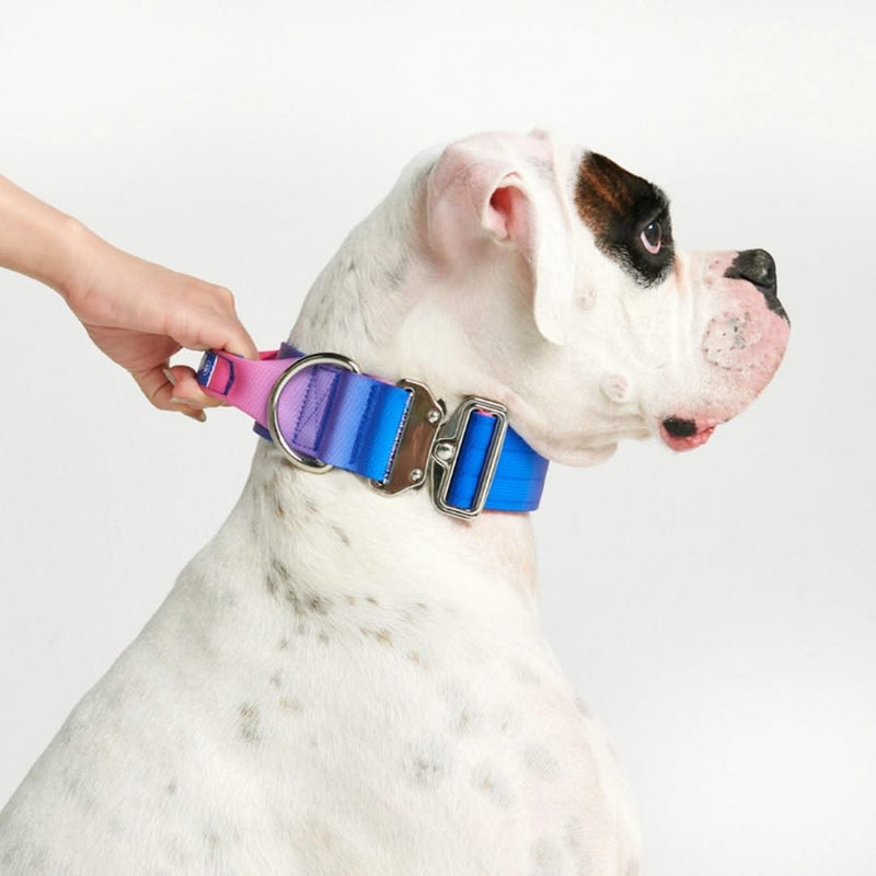Taktisches Halsband für große Hunde - Rosa-Blau