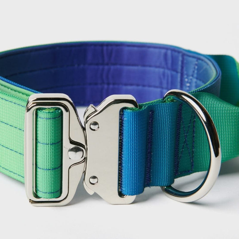 Taktisches Halsband für große Hunde - Limewelle