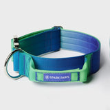 Taktisches Halsband für große Hunde - Limewelle