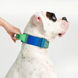 Taktisches Halsband für große Hunde - Limewelle