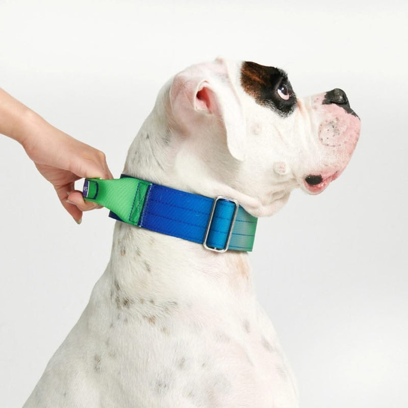 Taktisches Halsband für große Hunde - Limewelle