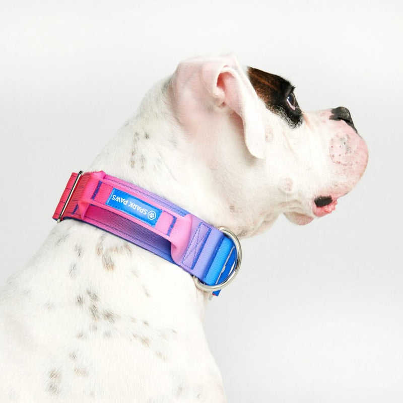 Taktisches Halsband für große Hunde - Rosa-Blau