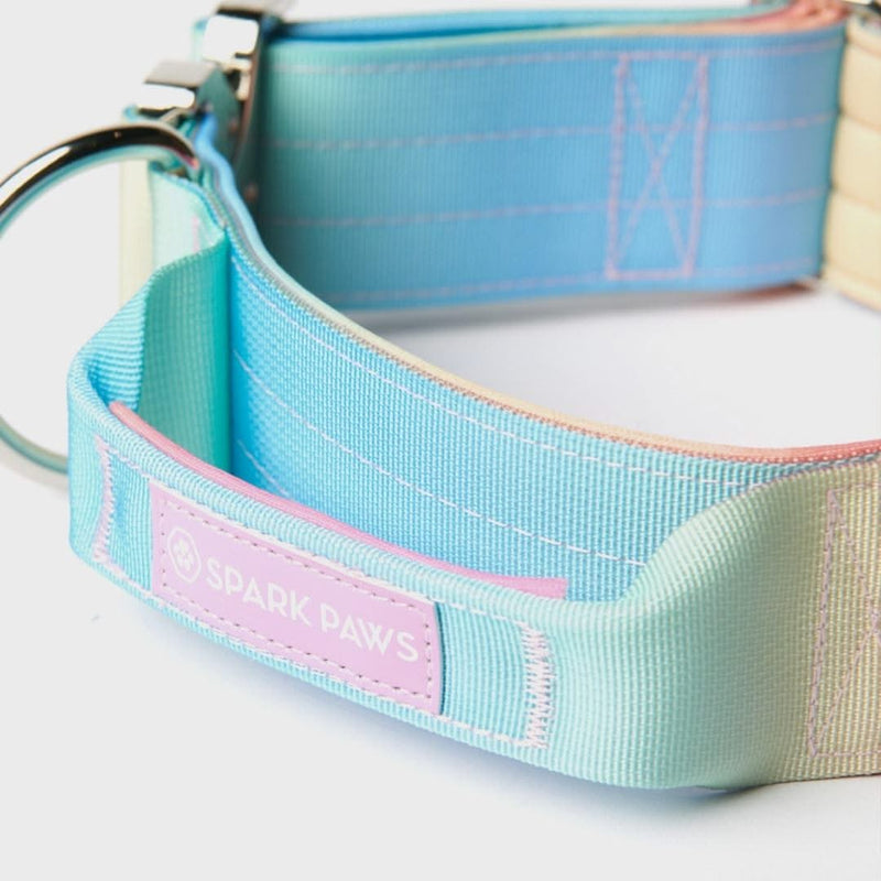 Taktisches Halsband für große Hunde - Pastellglasur
