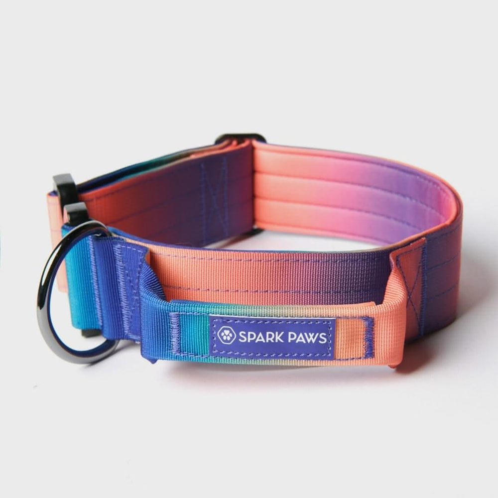 Tactical collar store