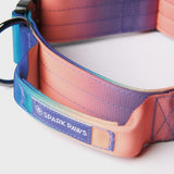 Taktisches Halsband für große Hunde - Kaleidoskop