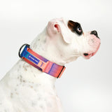 Taktisches Halsband für große Hunde - Kaleidoskop